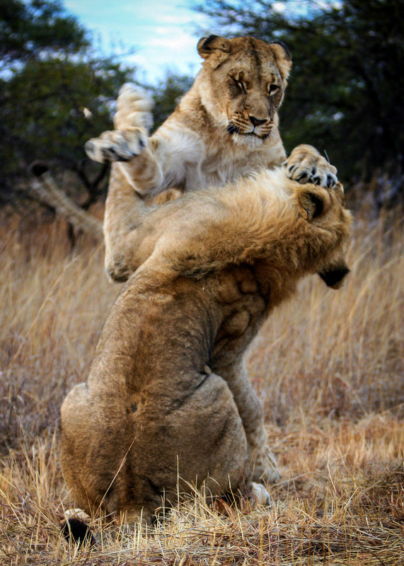 浅谈银行会计结算操作风险管理-十大外围足球平台app手机版(图2) 十大外围足球平台app