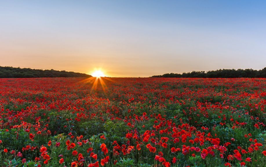 十大外围足球平台app