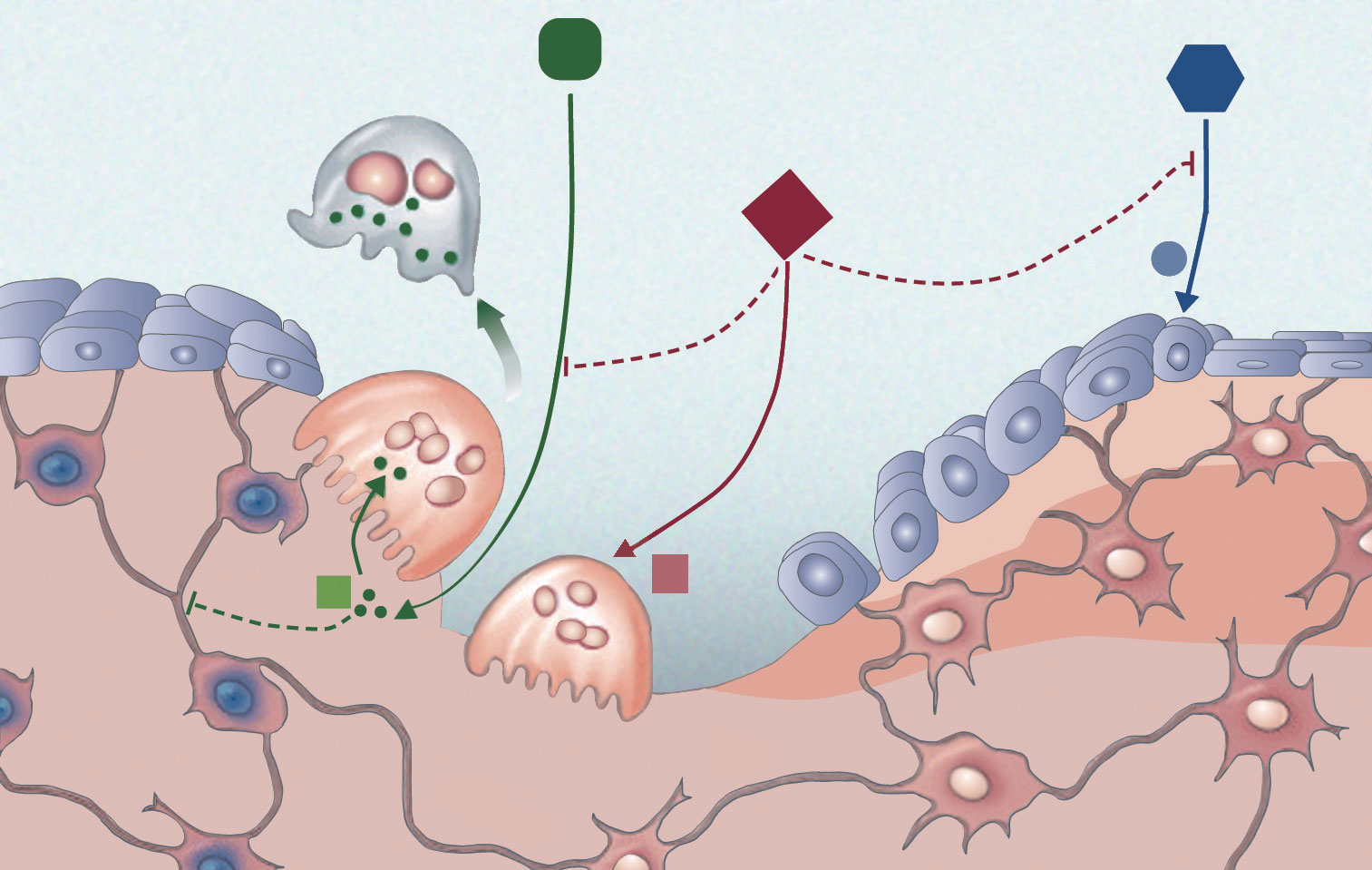 十大外围足球平台app手机版_农垦园区经济发展战略(图3) 十大外围足球大平台