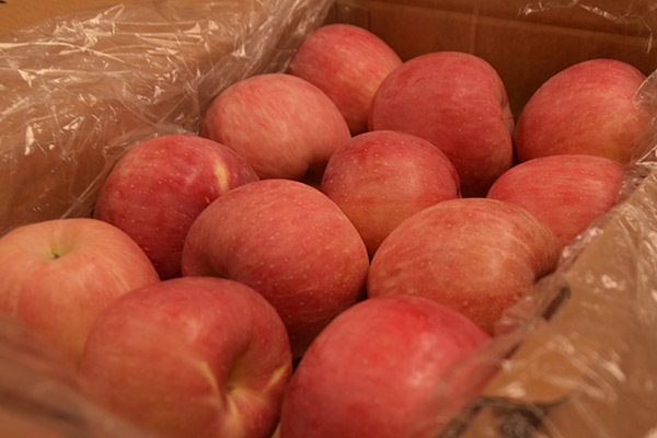 十大外围足球平台app手机版