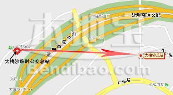 南京日报:南林大学生大三开始创业 “摇钱树”叶子开发成保健茶_十大外围足球平台app(图3) 十大外围足球平台app手机版