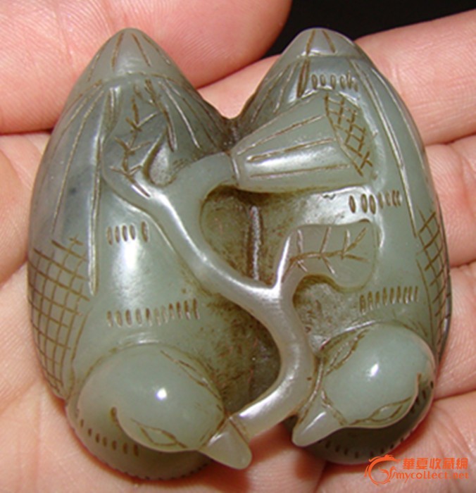 南京日报:南林大学生大三开始创业 “摇钱树”叶子开发成保健茶_十大外围足球平台app(图2) 十大外围足球平台app手机版