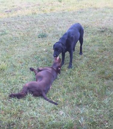 十大外围足球平台app手机版