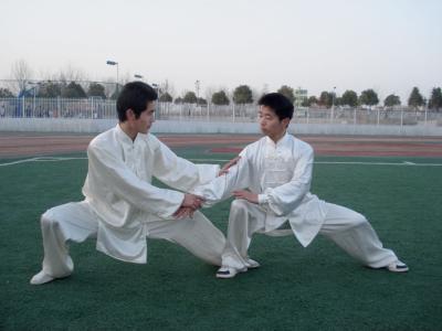 【十大外围足球平台app】乡村旅游发展与新农村建设互动分析(图1) 十大外围足球平台app手机版