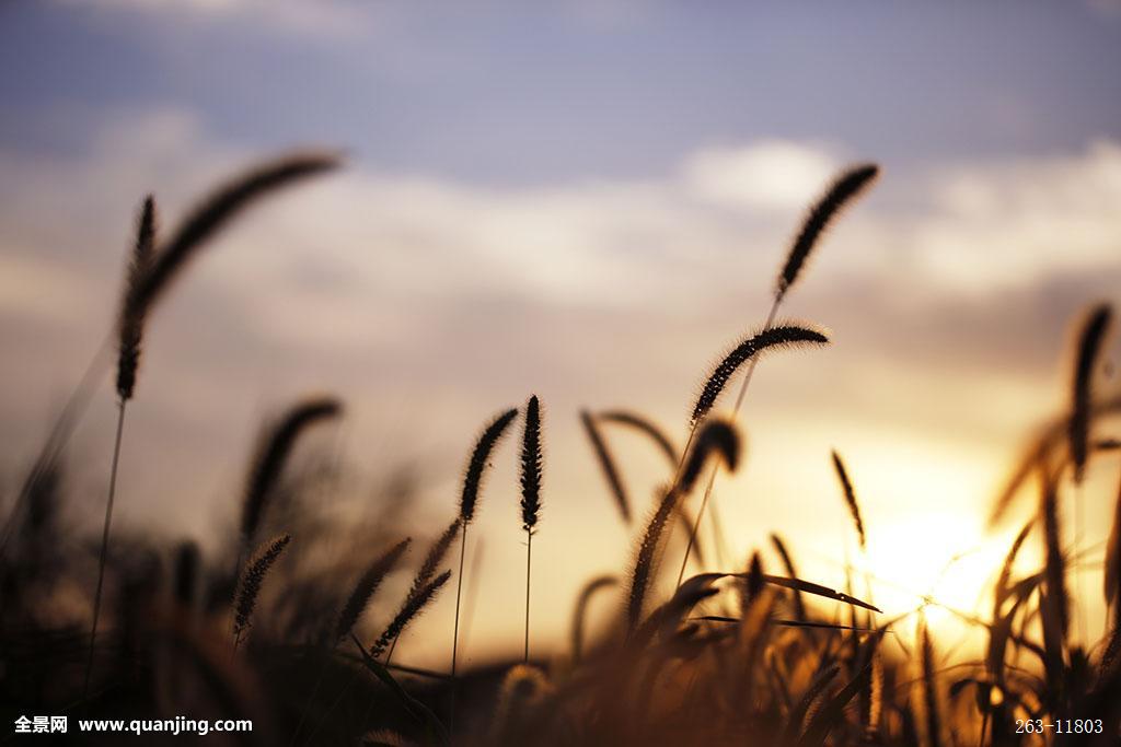 【十大外围足球大平台】经济全球化下的永康五金产业发展战略研究(图3) 十大外围足球平台app