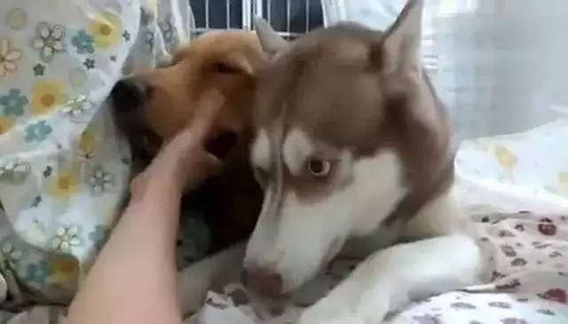 ‘十大外围足球平台app手机版’淮安校区专业建设工作布置会召开(图3) 十大外围足球平台app手机版