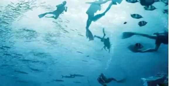 十大外围足球平台app手机版