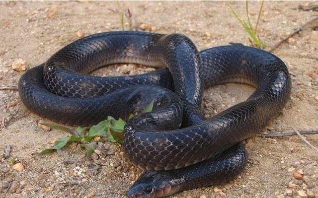 技术预防在博物馆中的应用|十大外围足球平台app(图1) 十大外围足球平台app手机版