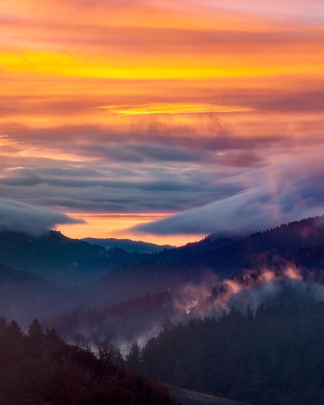 十大外围足球平台app手机版_
音乐学能为这个时代做点什么(图3) 十大外围足球平台app手机版