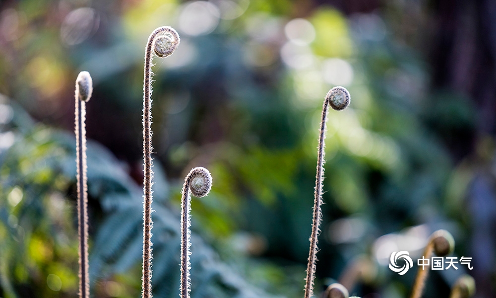 十大外围足球平台app