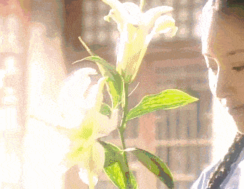 
教科书式的一眼万年 为何国产剧中再也见不到了？‘十大外围足球大平台’(图4)