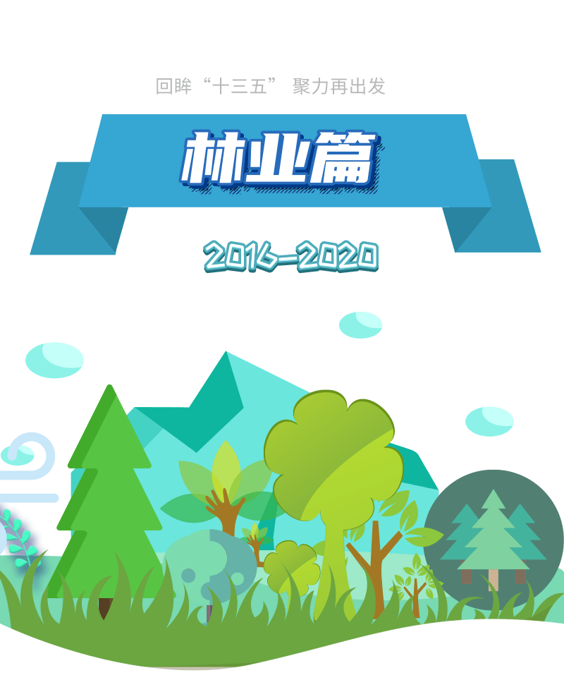 十大外围足球大平台|
【回眸“十三五” 聚力再出发】 生态林业篇(图2)