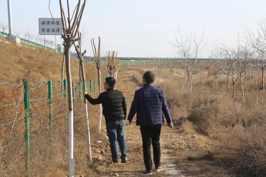 十大外围足球大平台|
【回眸“十三五” 聚力再出发】 生态林业篇(图12)