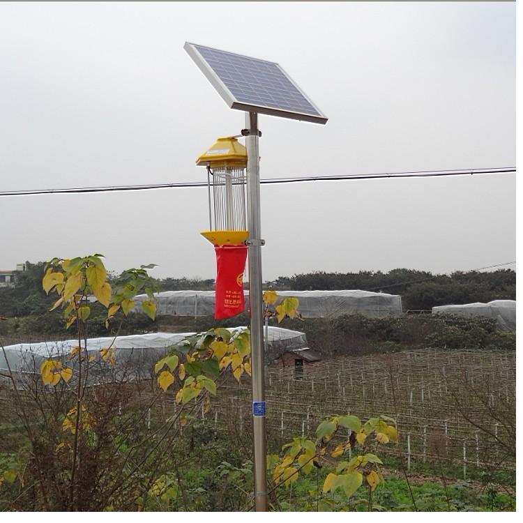 十大外围足球平台app