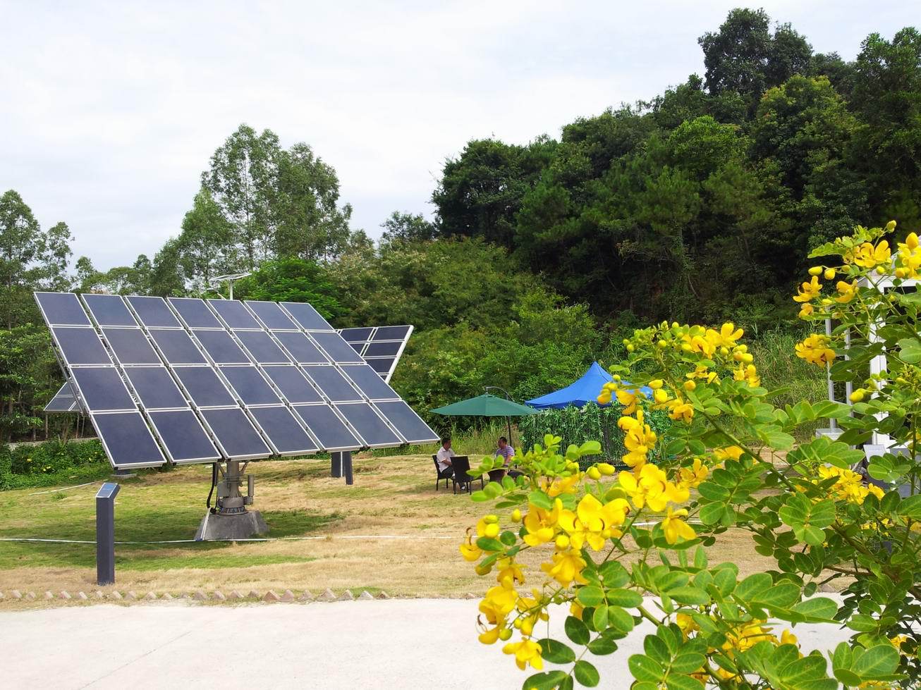 十大外围足球平台app