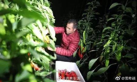 十大外围足球平台app