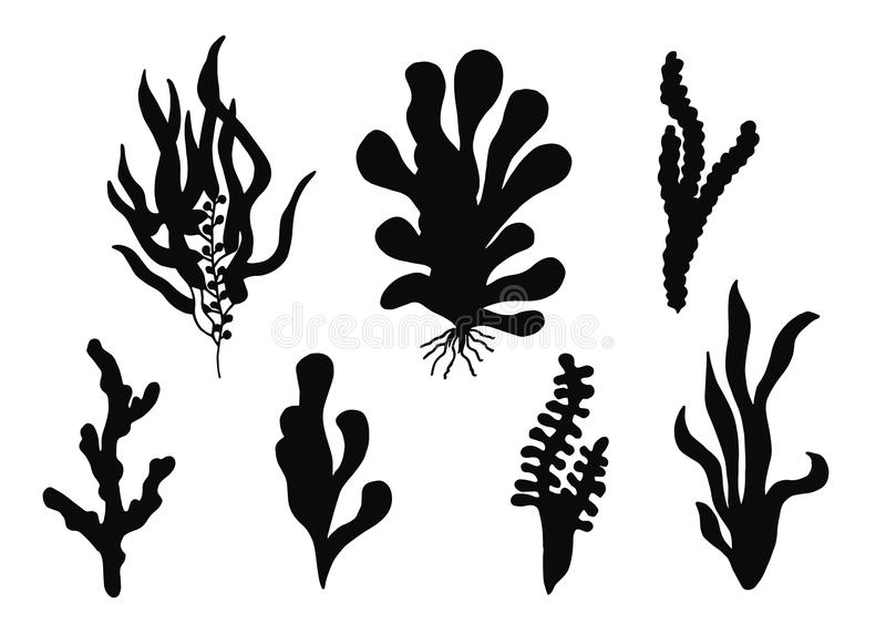 江苏省造纸学会六届二次常务理事(扩大)会议在我校召开“十大外围足球平台app”(图1) 十大外围足球平台app