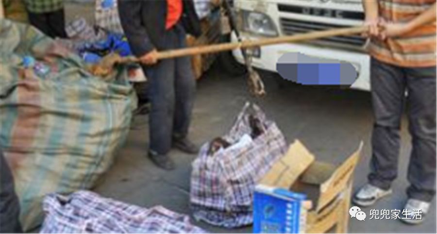 十大外围足球平台app手机版