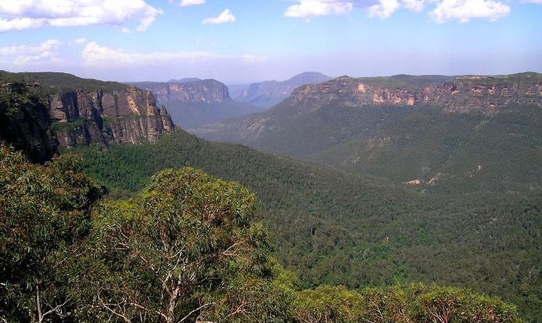 十大外围足球平台app