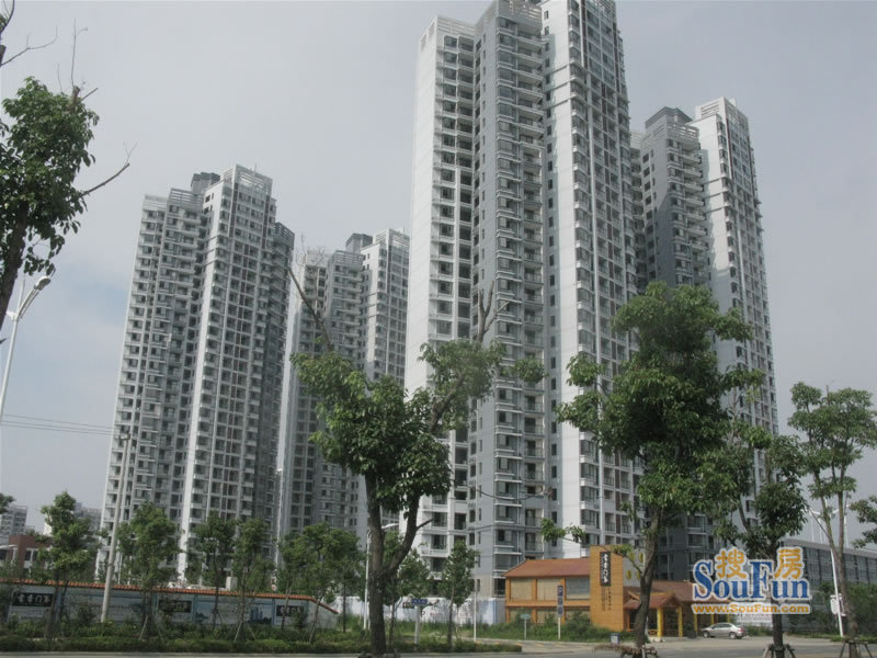 “十大外围足球平台app手机版”南林不会忘记(图2) 十大外围足球大平台