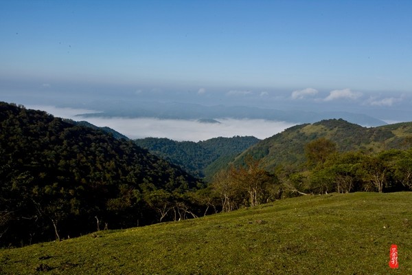 十大外围足球平台app手机版