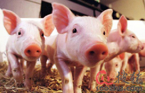 十大外围足球平台app手机版