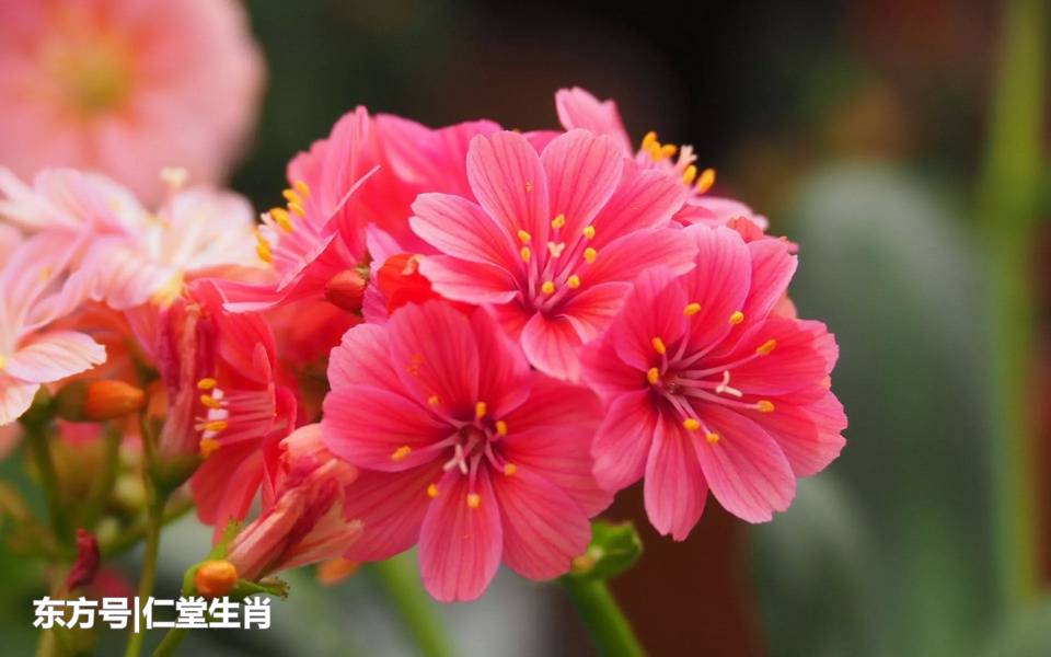 十大外围足球大平台