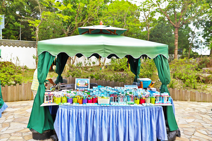 十大外围足球平台app