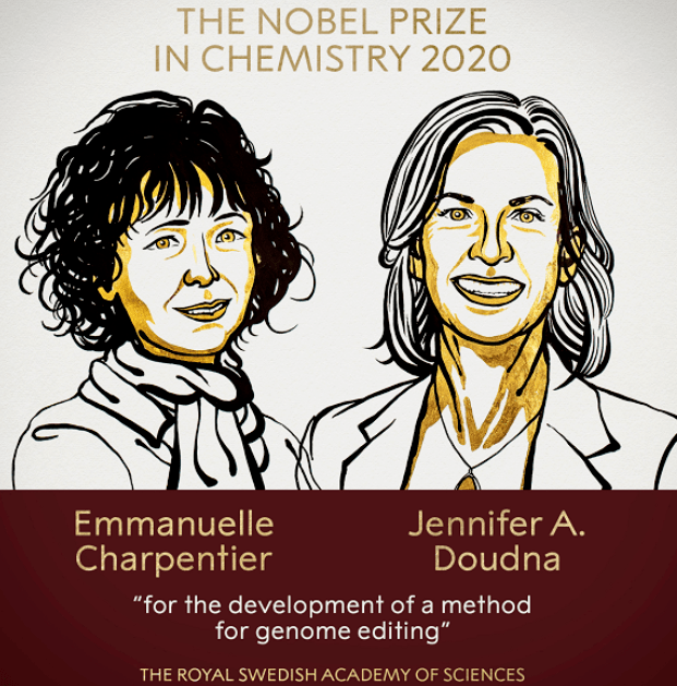 
Discovery vs. Development：从诺奖看论文首发权的重要性-十大外围足球平台app(图1)